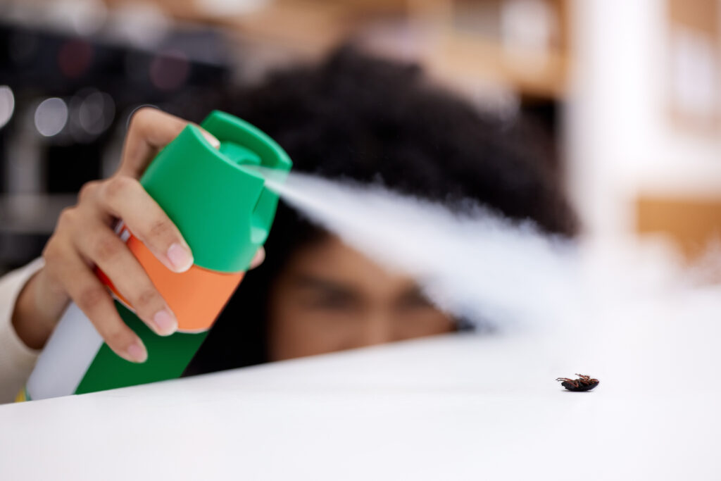 This is a bug free zone. Shot of a young woman spraying an insect on a counter at home