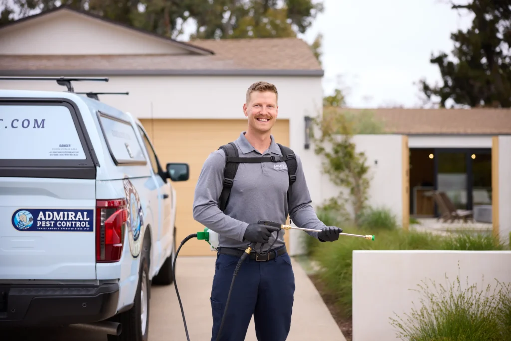 How to Get Rid of Eucalyptus Beetles 043025 0096