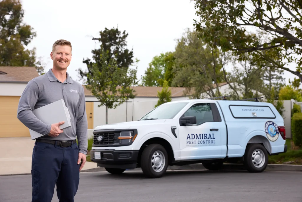 Homeowner's Strategies for Effective Termite Prevention 043025 0202