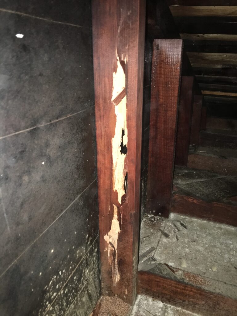 termite damage