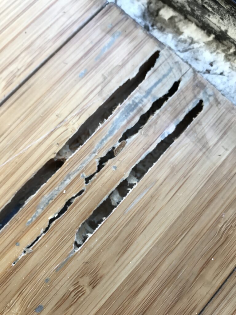 termite damage